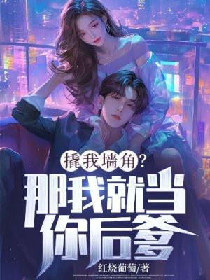 我撬了你家的门