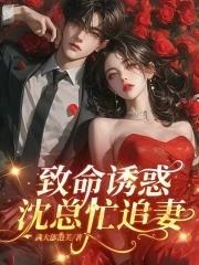 致命诱惑沈总忙追妻 武大郎泡芙