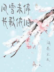 风雪折尽长安雪