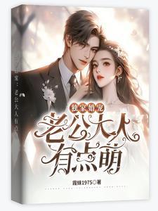 独家婚宠老公别缠