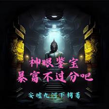 鉴宝神眼少年