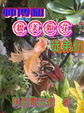 师傅貌美如花完结破解版